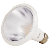 LED Par 30 Lamp